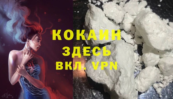 соль ск Алексин
