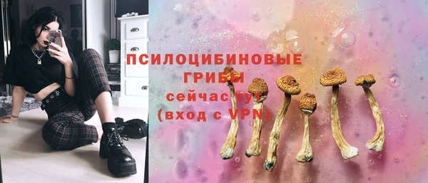 соль курить ск Алексеевка