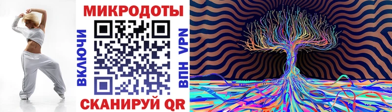 Галлюциногенные грибы Cubensis Злынка